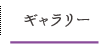 ギャラリー